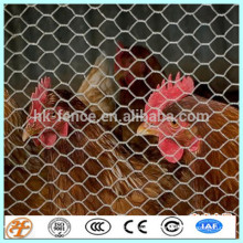 lowes chicken hexagonal wire mesh roll for sale